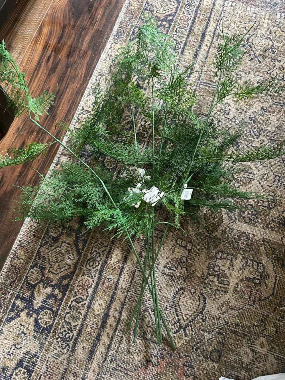 NWT Hearth&Hand Asparagus Fern Plant Stem 32
